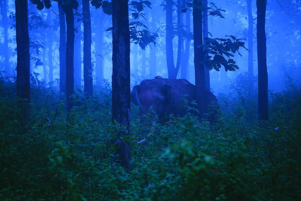 ホテル ザ ウッズ リゾーツ ワイナード スルタン・バザリー エクステリア 写真